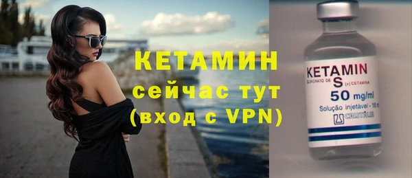 сатива Сосновка