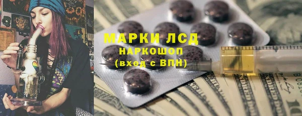 сатива Сосновка