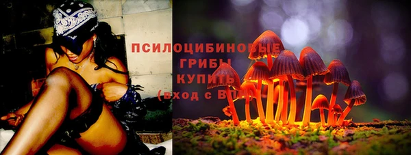 сатива Сосновка
